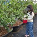 후계자농장 이미지