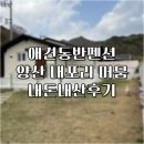 머뭄 | 양산 내포리 머뭄 후기 / 애견 동반 가능, 주차·요금·용품 총정리