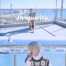 데스파시토 이미지