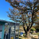 창바위식당 이미지