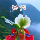 소망직업소개소 - 평택시 | 소망직업소개소