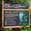 [올랜도 Day3(1)] 디즈니월드 애니멀킹덤(Animal Kingdom)1 : 아바타플라이트오브패시지/나비리버저니