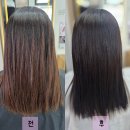 정관장원당점 | 인천검단 미용실 추천 로이드밤 원당점 톤다운 염색후기 가을 염색 컬러추천
