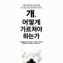페티앙 북스