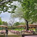 혜자농장 이미지