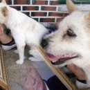 영정농장 이미지