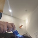 우정마샹스 오피스텔 | 홍대두피관리 모앤영 신촌점 두피진단부터 체계적인 관리 후기