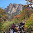 10월19일(일) 설악산(흘림골~여심폭포~오색약수) 힐링산행 &#34;단풍절정&#34; 국립공원 이미지