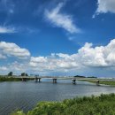 요즘 직장.직업에 대하여 2탄 이미지