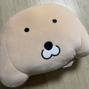 나의 첫 새차. 우여곡절 많았던 일주일