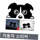 프리티도그 이미지