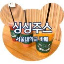&lt;서울대학교 카페&gt; 생과일주스 전문점 싱싱주스, 내돈내산 솔직후기