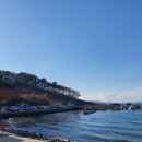 일오공삼 | 가덕도 가볼 만한 곳 애견 동반 카페: 일오공삼