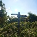 행복농장 봉화지점 | 지리산 서북능선 • 정령치에서 인월(월평)마을 16.5km, 대중교통 산행기 - with 최근 독서 목록