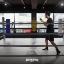 코리안복싱클럽 일원점 이미지