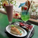 양말코히 이미지