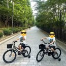 6세 아이 첫 자전거 삼천리 루트 20인치 구매 후기