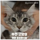 중동 우리아이 동물병원 이미지