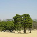 달성공원 이미지