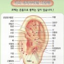 썬바이오 네이버블로그