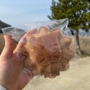 우프 앤 먀오 | 우프앤먀오 코코넛츄 토이 강아지 천연 장난감 후기