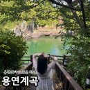 용연 | 제주 용연계곡 용연구름다리 포토존 위치 주차 소요시간 후기
