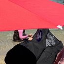 용화파도민박 | [삼척] 갈남항 스노쿨링+평상+바베큐 체험 꿀팁 🌊 &amp; 맛집 “용화물회”까지 풀코스 🐟