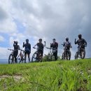 굴암사입구 이미지