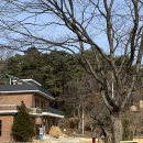 근교 대형 카페 | 앙떼떼페레 | 유럽풍 스타일의 카페 추천 🐝
