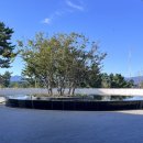 북면435 | 9/28-10/1 강릉찍고 경주!