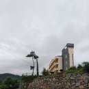 세아교차로(농산물전문점) | [하동으로 여행가자 6] 하동 로컬푸드 직매장으로 밤마실 / 친절한 기사님의 안내대로 로컬버스 타고...