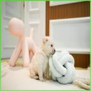 퍼피 켄넬 이미지