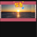 비바비디오 이미지