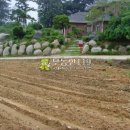 동남농장2 이미지