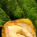 추자식품 이미지