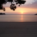 자은도에서 이미지