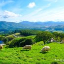 멍에목장 이미지