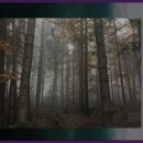 상한 농촌체험 휴양마을 이미지