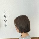 오월살롱 네이버블로그