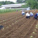 목면사무소 이미지