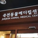 죽전동물메디컬센터 네이버블로그