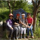 남진농장 이미지