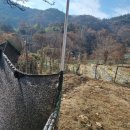 봉산휴먼시아부동산공인중개사사무소 이미지