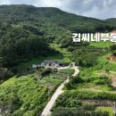 이평제 이미지