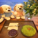 모현현대2차@경로당 | [익산 빙수 맛집] 마루팥빙수 모현점 메뉴 꿀팁과 말차 밀크빙수 떡볶이 조합
