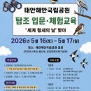 태안해안국립공원 탐조교육 후기｜아이와 1박2일 가락지부착조사까지 특별한 생태체험