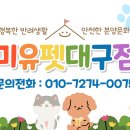 ★미유펫대구점 아기댕댕이들이 기다려용! 11월 이벤트로 만나보세요!★ 이미지