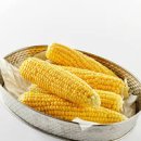 초당옥수수 전자레인지 몇분 초당옥수수 보관 먹는법 이미지