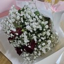 커피 플라워 이미지