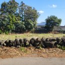 벧엘부동산중개사무소 이미지